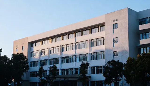 提升数据检索效率的实用策略与维护建议