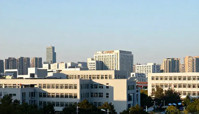 新疆网站制作如何助力企业名录查询
